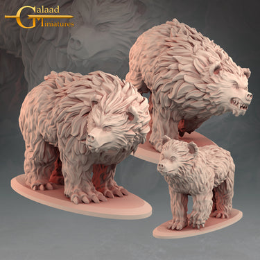 Bear Bundle